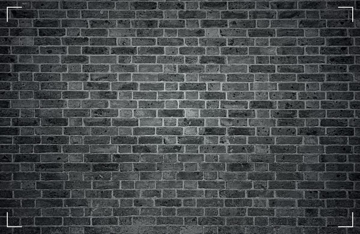 A wall of old, red bricks;