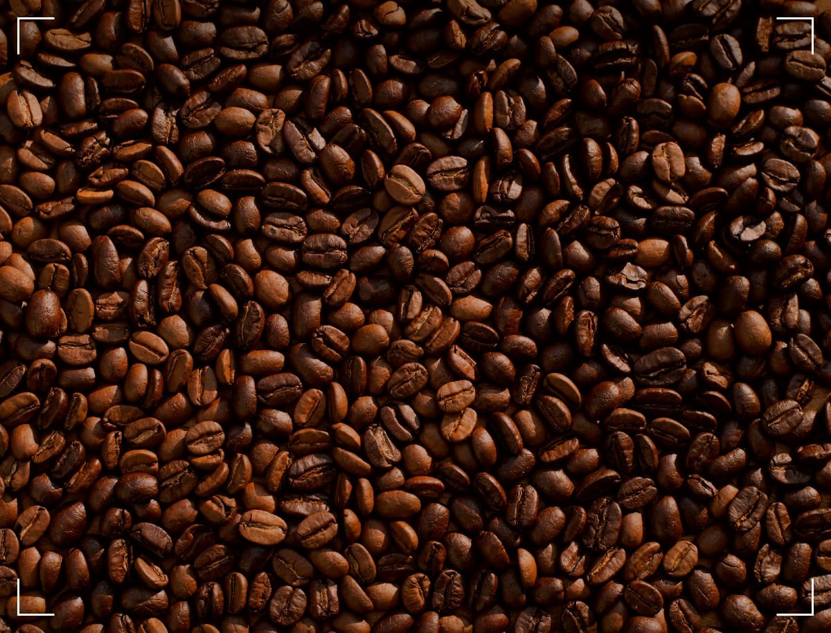 A close-up of coffee beans.