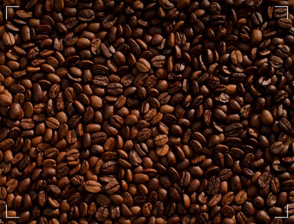 A close-up of coffee beans.