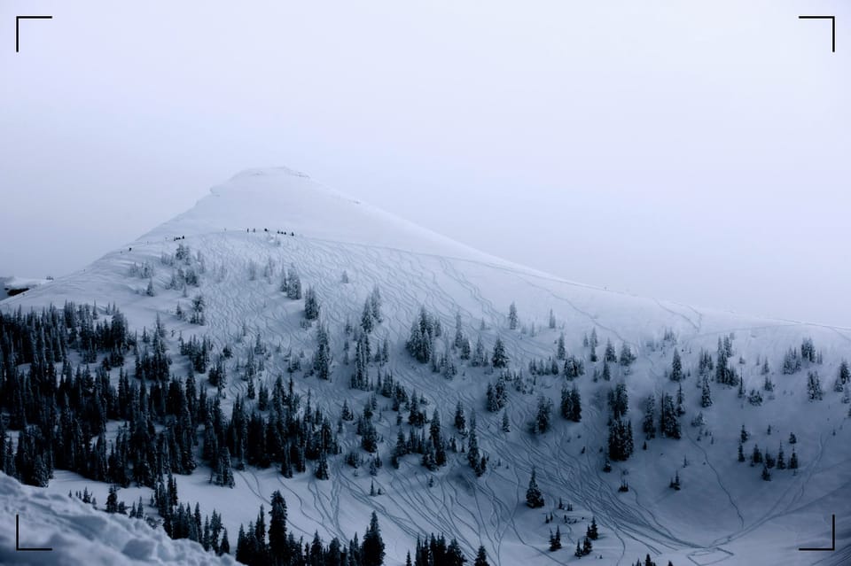 Ötzi the Iceman's Last Meal